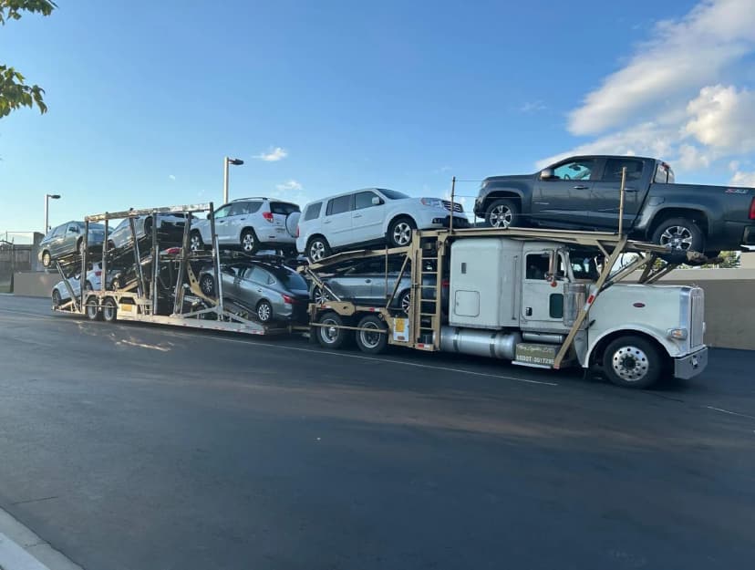 Cheap Car Transport: Genius Move or Total Disaster?