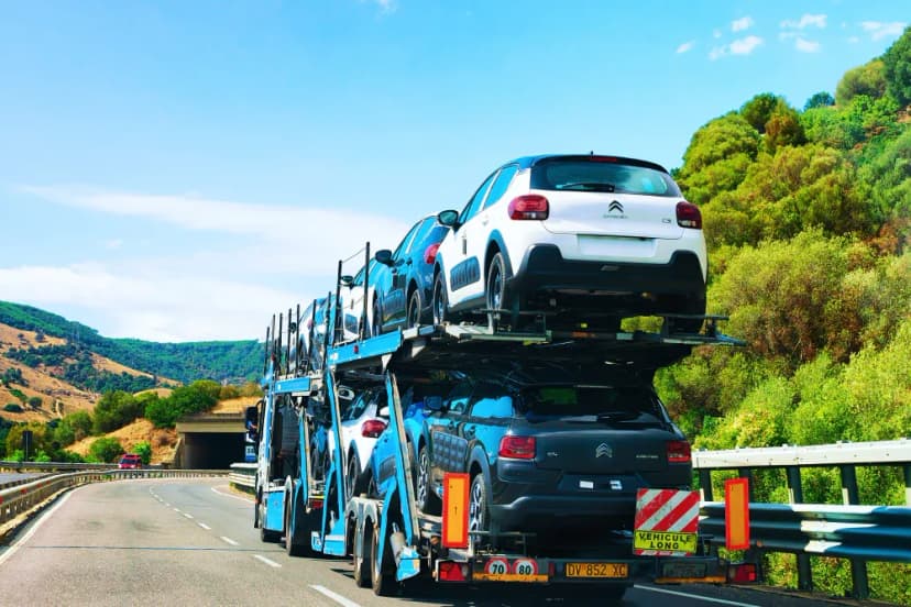 How to Ship Multiple Vehicles at Once: A Complete Guide?