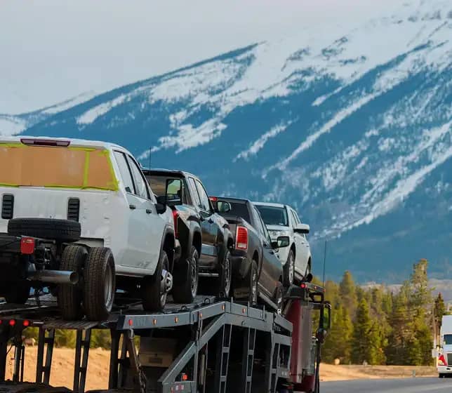 Car Shipping For Senior Citizens