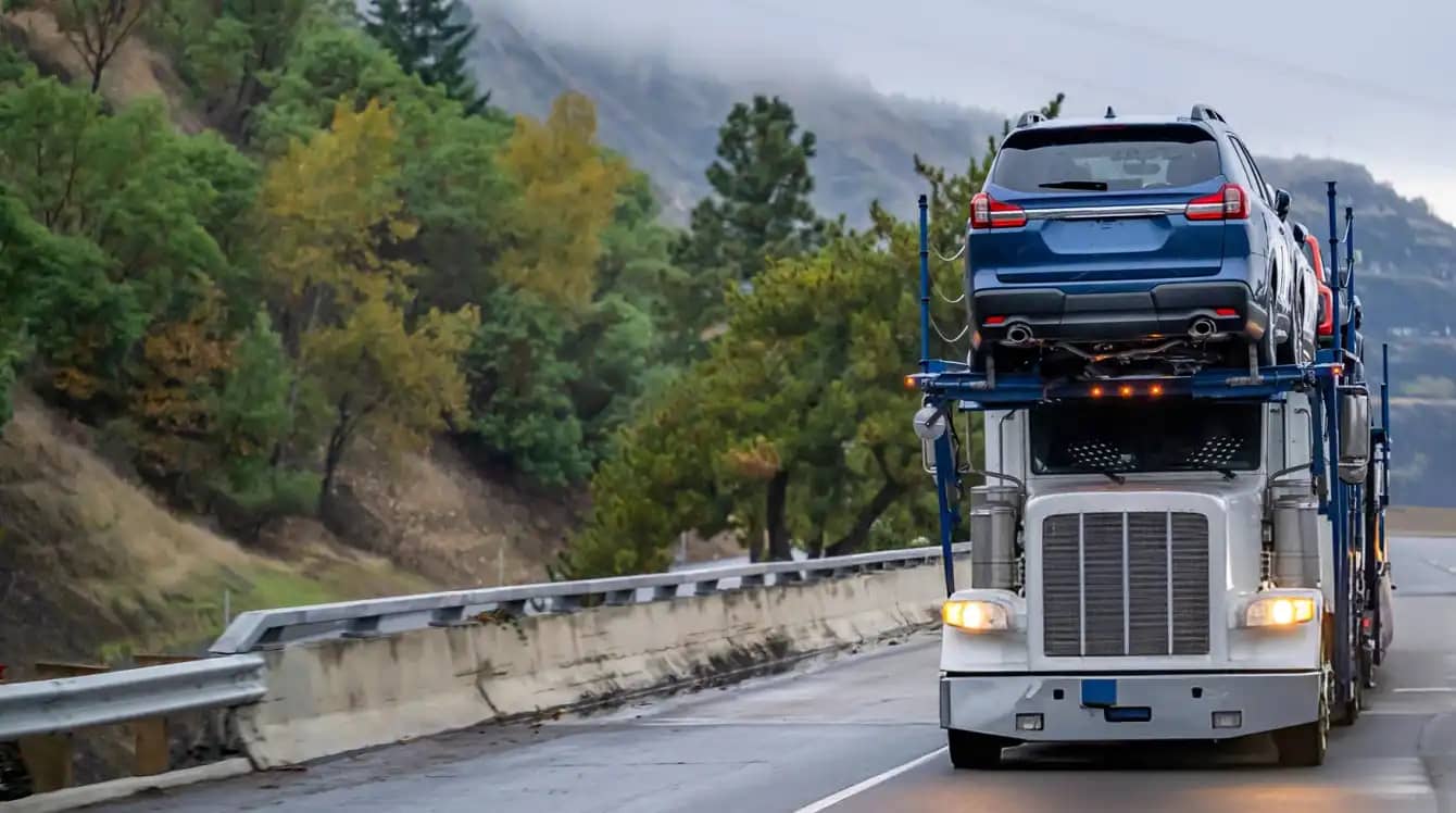 snowbirds car shipping