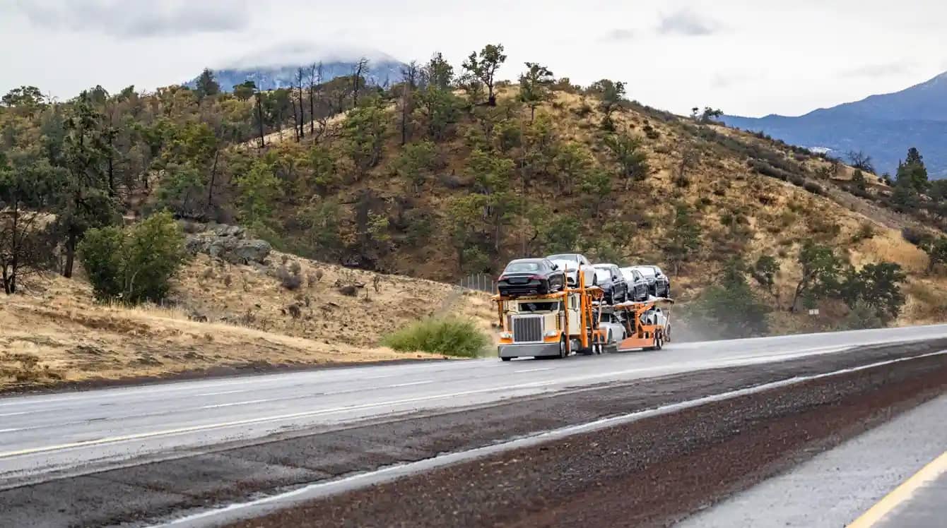 snowbirds vehicle shipping