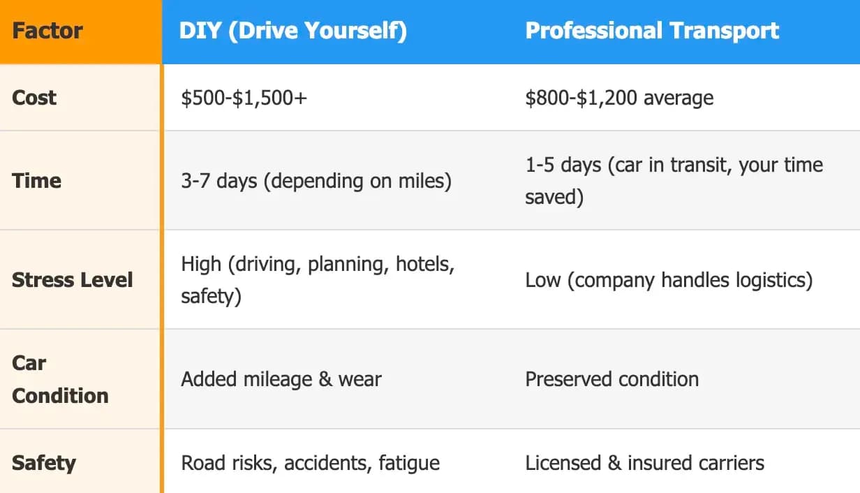 DIY vs. Professional Auto Shipping
