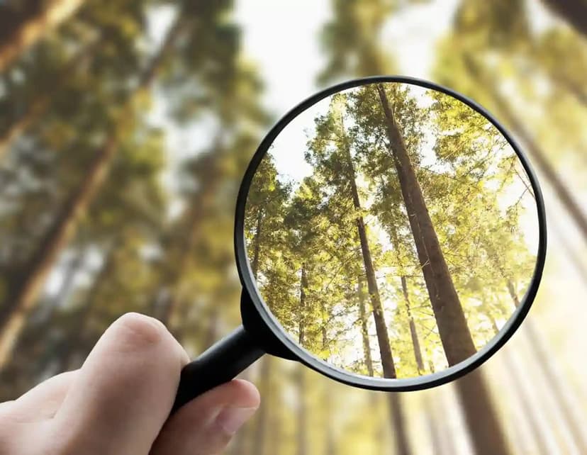 How to Choose an Auto Transport Company